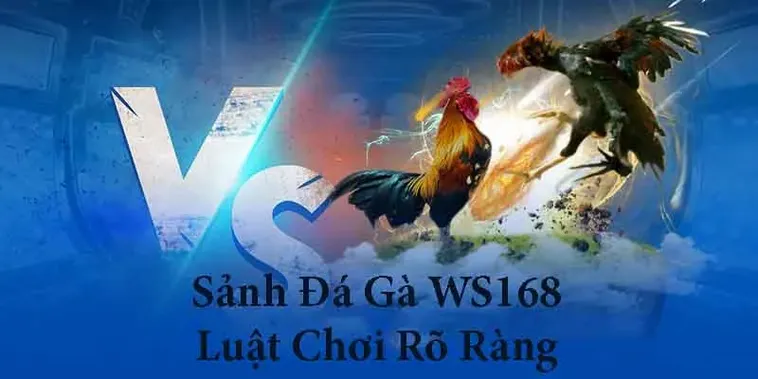 Hướng Dẫn Chơi Đá Gà WS168 Tại VN88 Thắng Lớn Mỗi Ngày