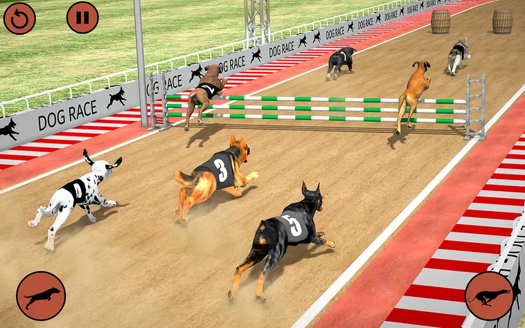Cách Chơi Game Nhanh Đua Chó Tại VN88 Để Chiến Thắng Dễ Dàng